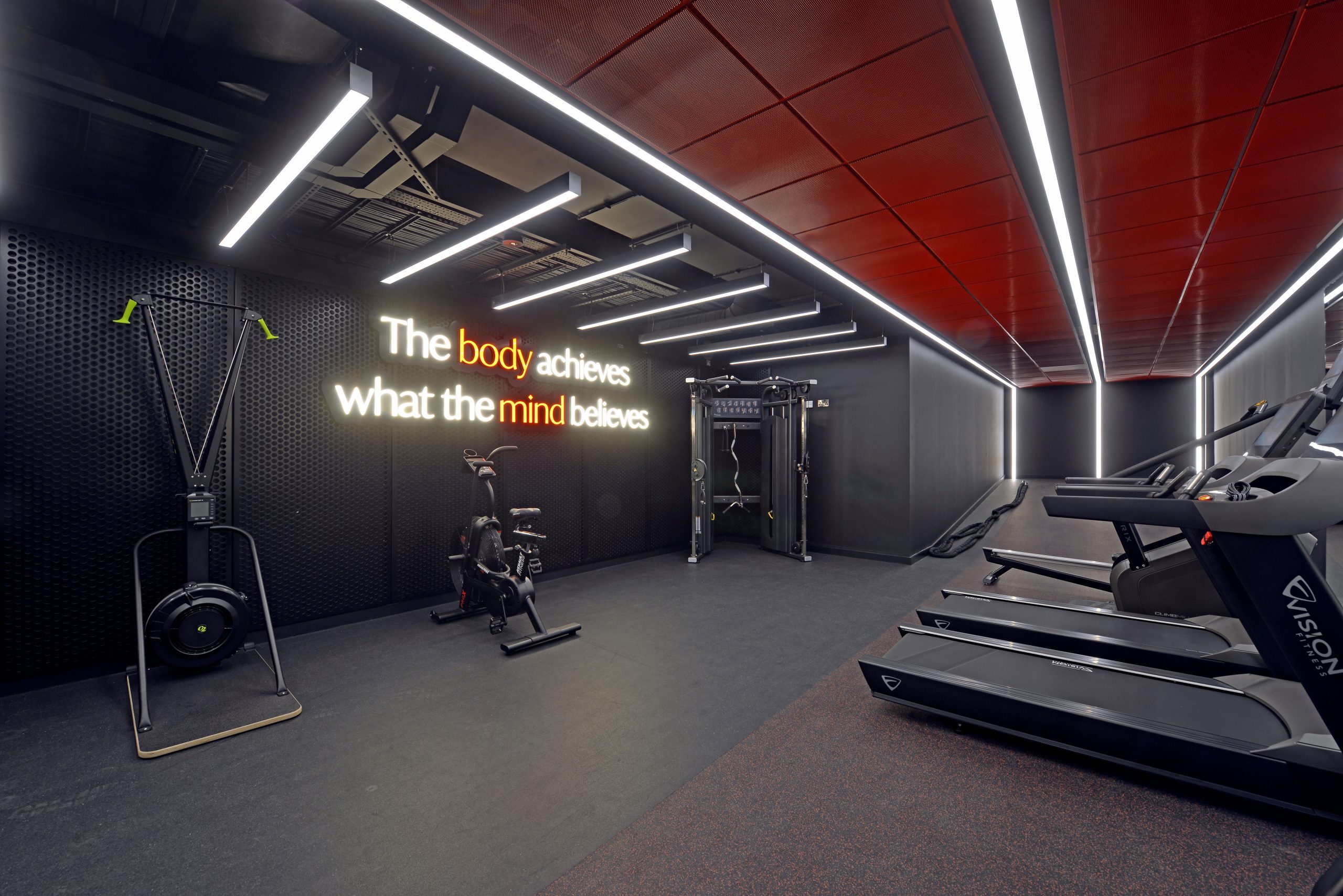 Aviary Gym scaled