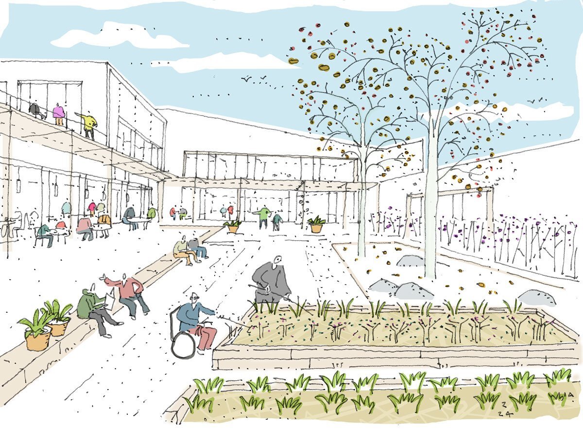 FW Sketch Courtyard