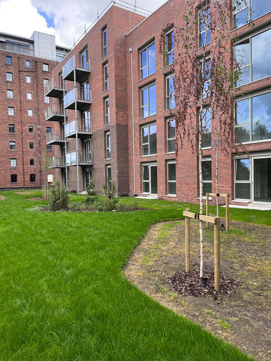 Gallery Image 01
